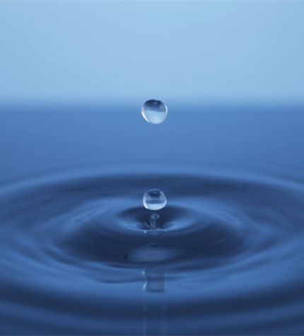 Humidificar con un humidificador Nortec